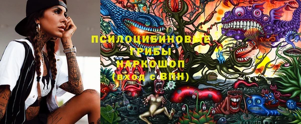 ECSTASY Алзамай