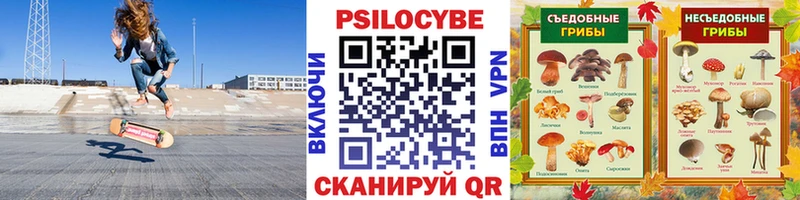 купить наркотик  Туринск  Псилоцибиновые грибы Cubensis 