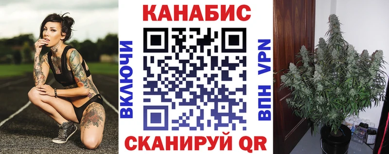 Каннабис MAZAR  как найти   Туринск 